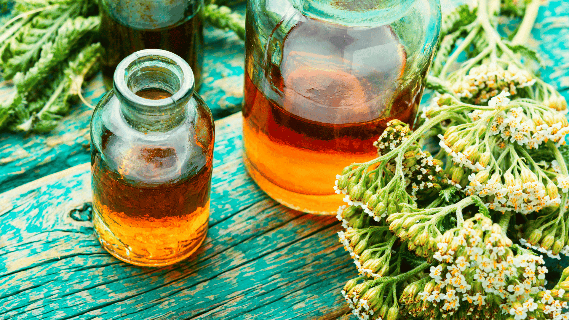 The Medicinal Uses of Yarrow: A Natural Remedy