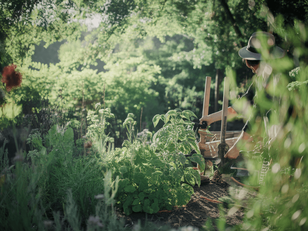 a sustainable herb garden at home