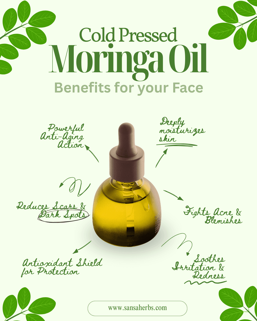 moringa oil for face benefits infographic