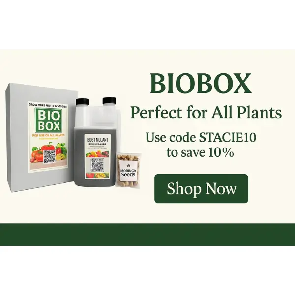 Grow Moringa BioBox Home Kit