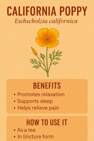 california-poppy-uses California Poppy infographic showing benefits and common uses like tea.
