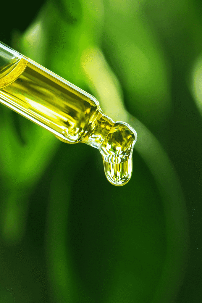 moringa oil for face benefits 