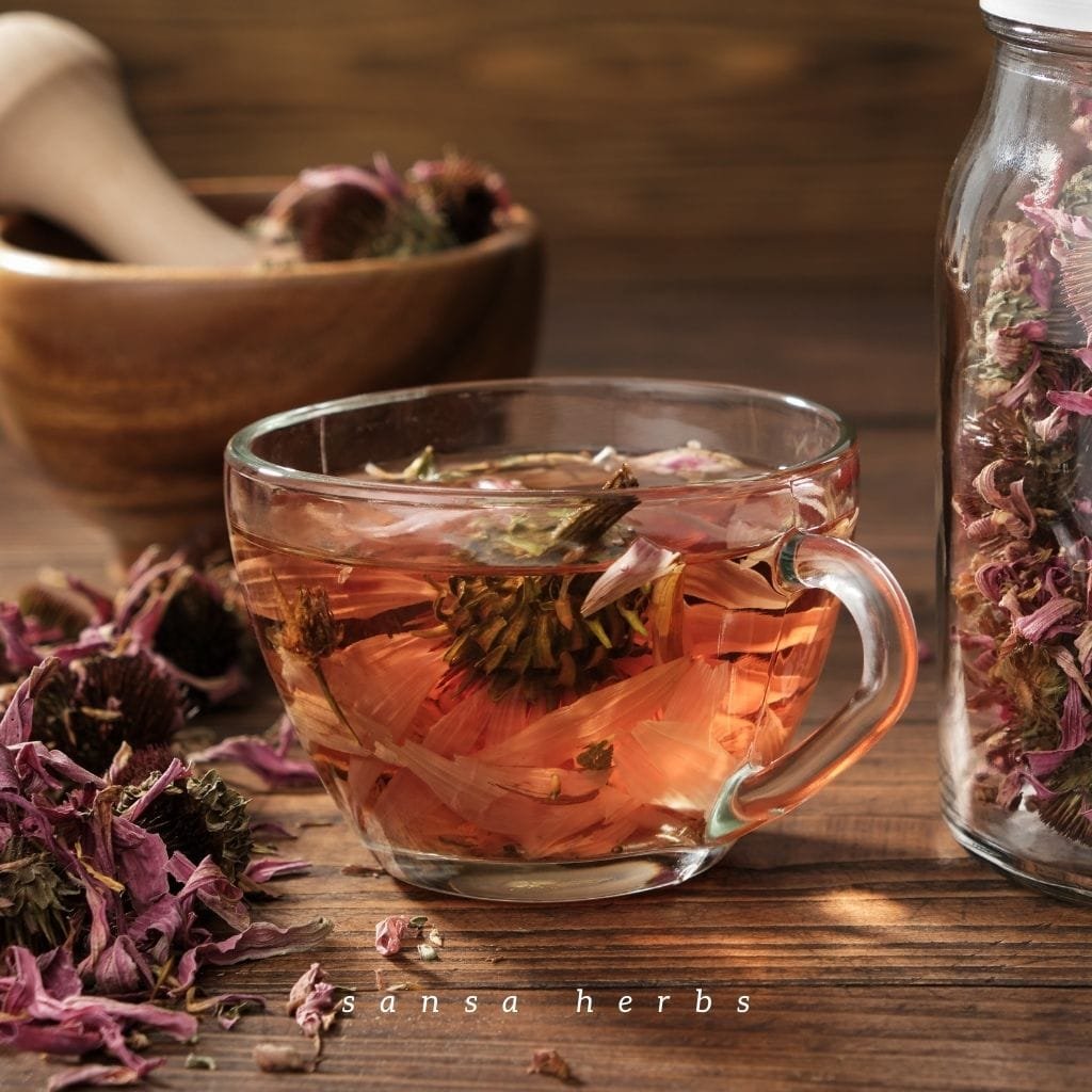 cup of echinacea tea