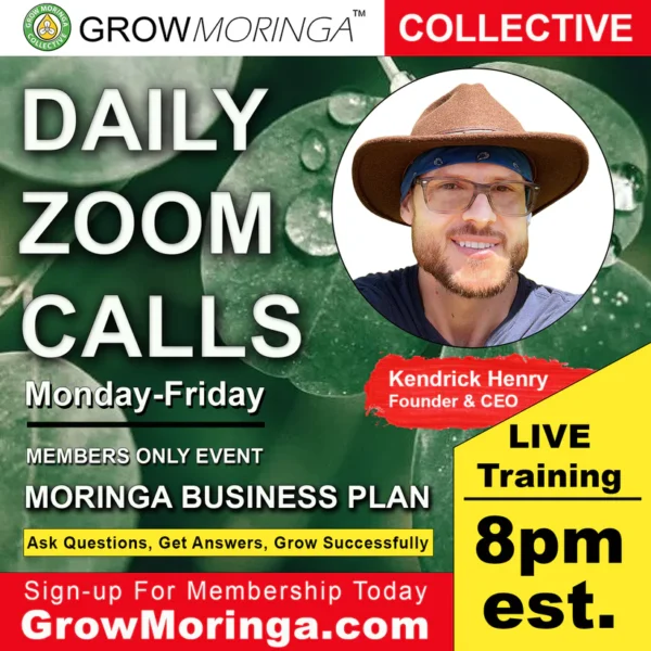 daily zoom calls with grow moringa