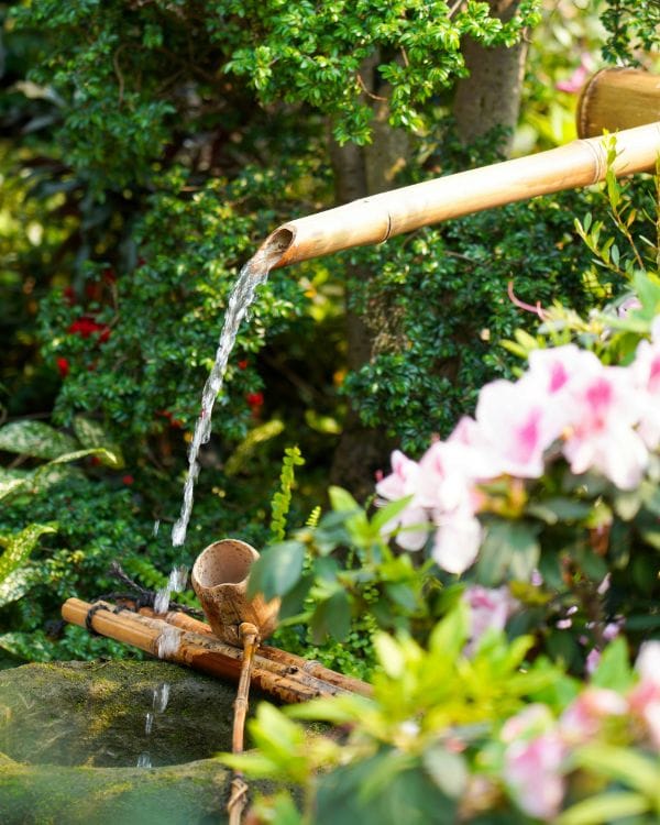 diy water feature 1 1