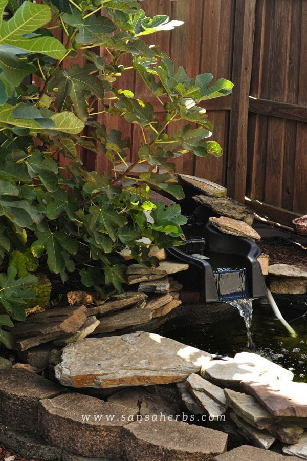 diy water feature showing a spillway weir box dressed with stones 