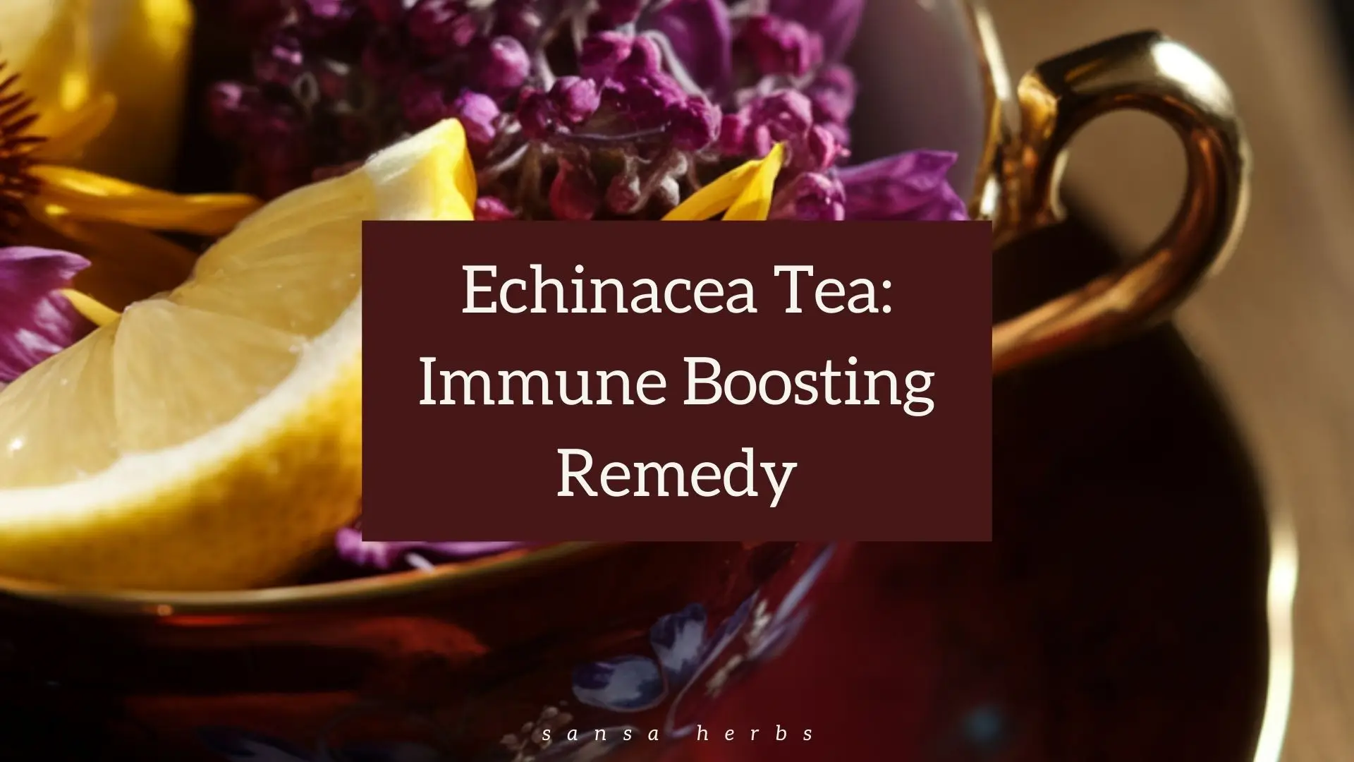 how to make echinacea tea from echinacea flowers, echinacea root, and leaves