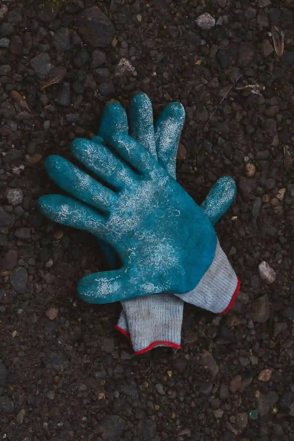 essential gardening tools (1) (1) garden gloves