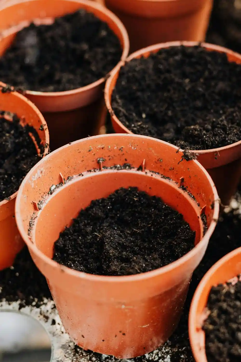 essential gardening tools (1) plastic plant pots of soil