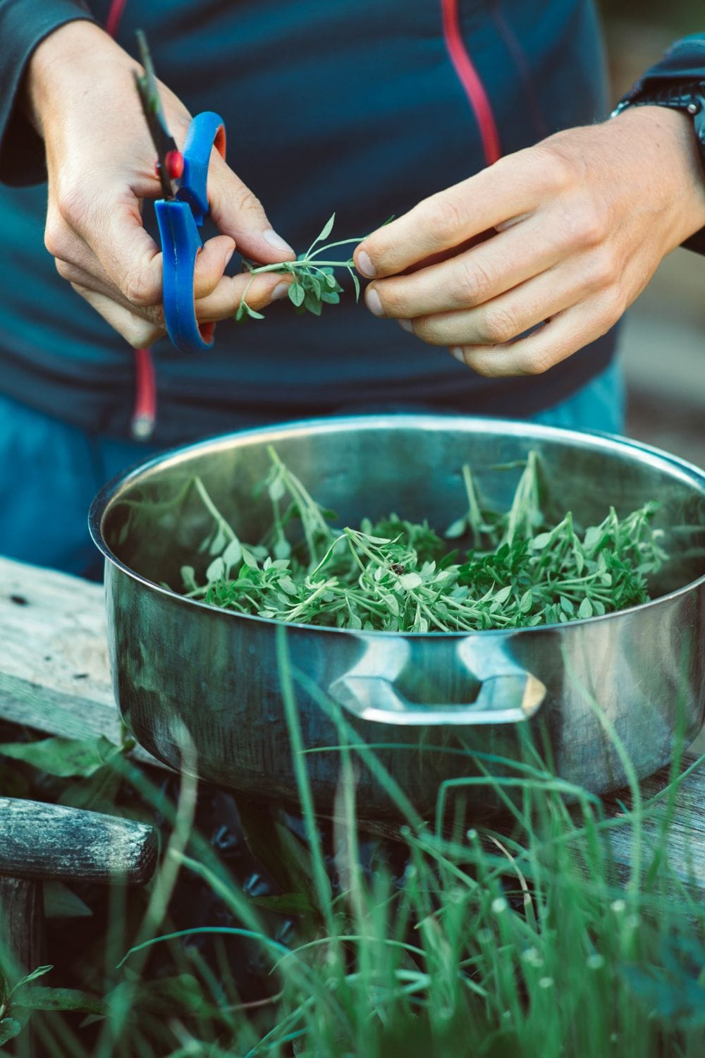 essential gardening tools a bowl of freshly harvested herbs being snipped with a scissors