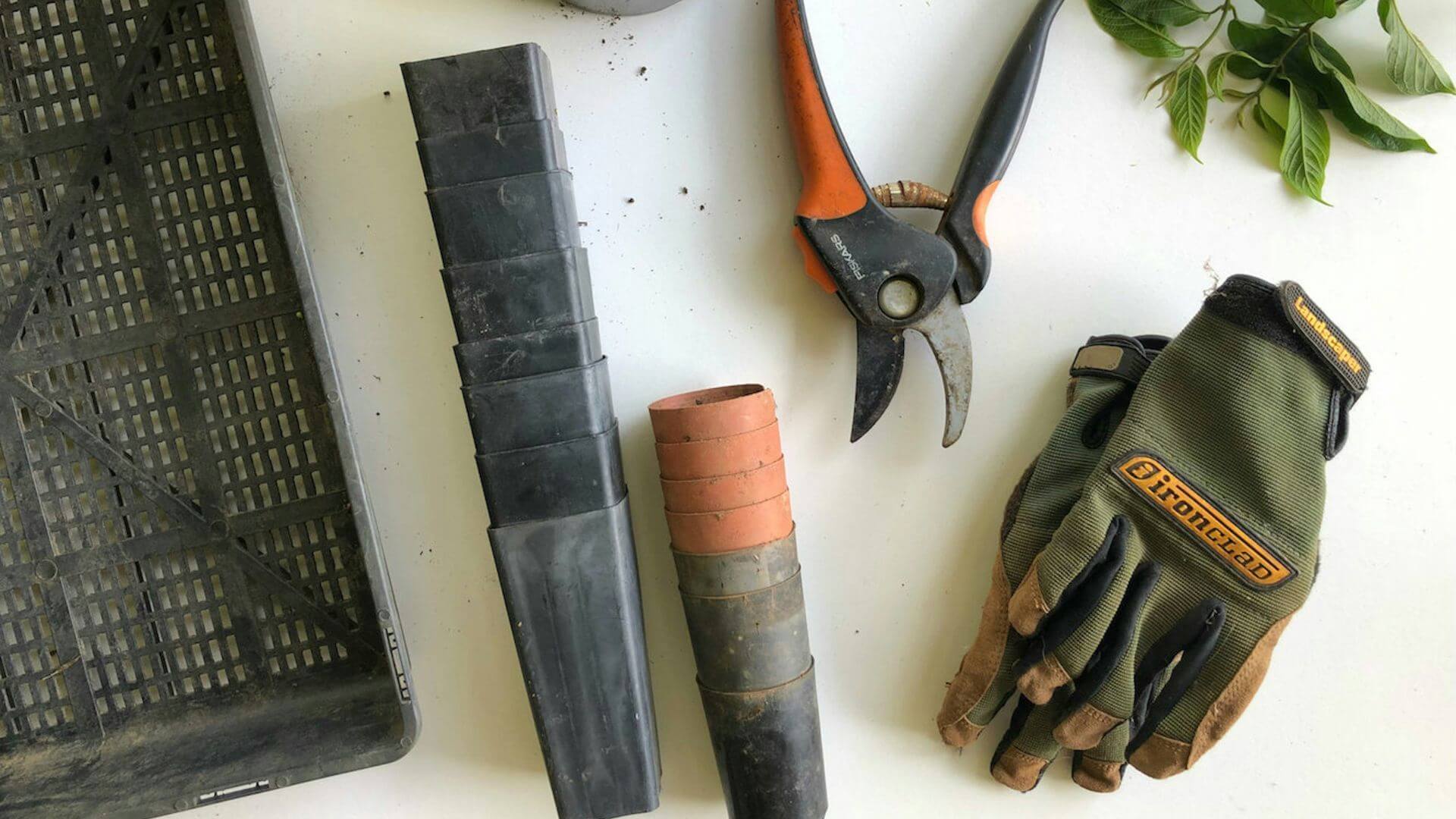 essential-herb-gardening-tools (1) essential herb gardening tools 1