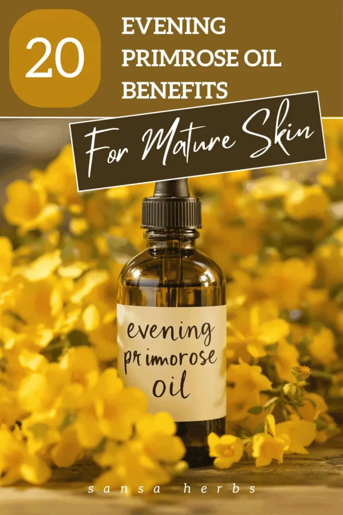 evening primrose oil
