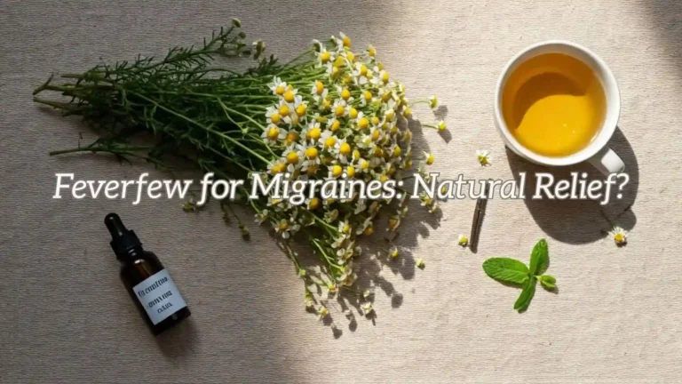 flat lay of products used to prepare feverfew for migraines