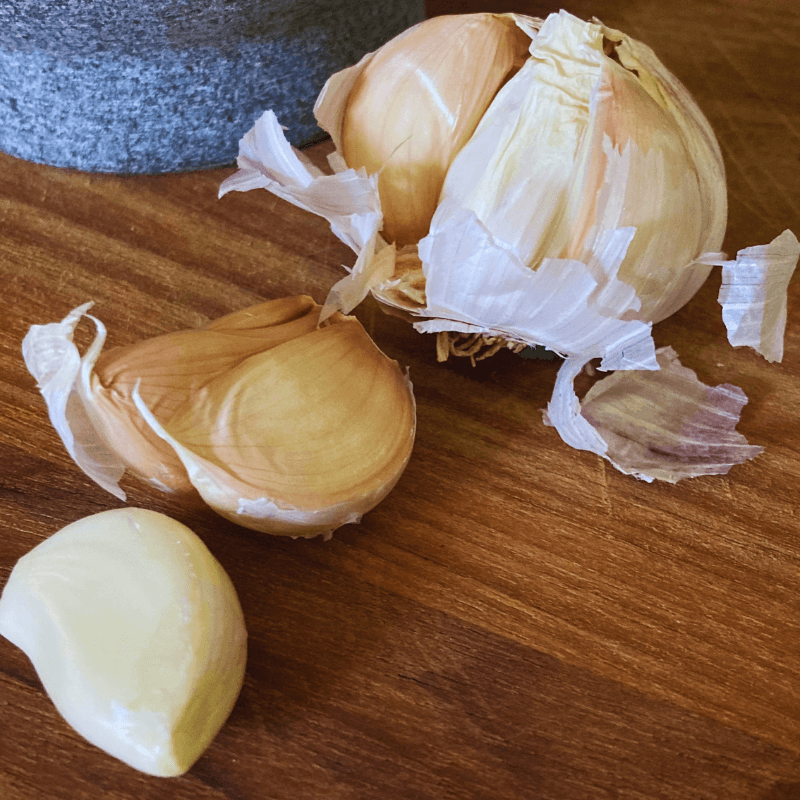 freshly harvested ginger from garden used for homemade herbal tea