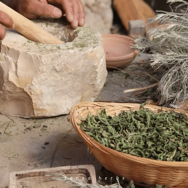 grinding-moringa-600 powdering moringa