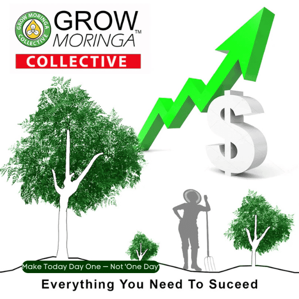 grow-moringa-investment earnings chart