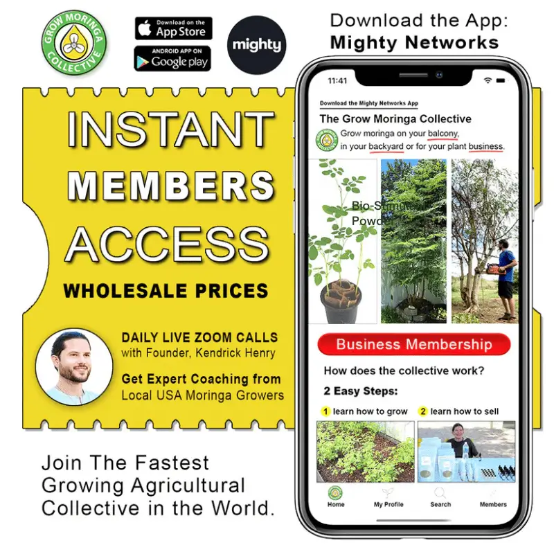 grow-moringa-membership grow moringa collective membership