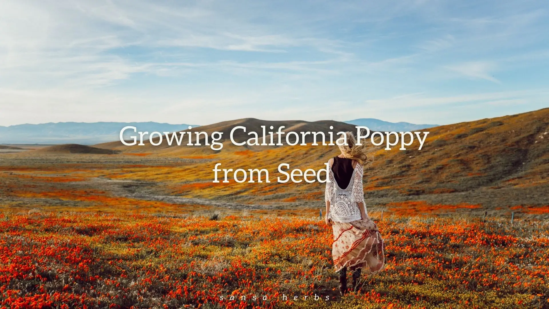Woman walking in a field of California poppies