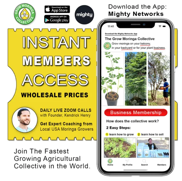 get access to grow moringa collective membership 