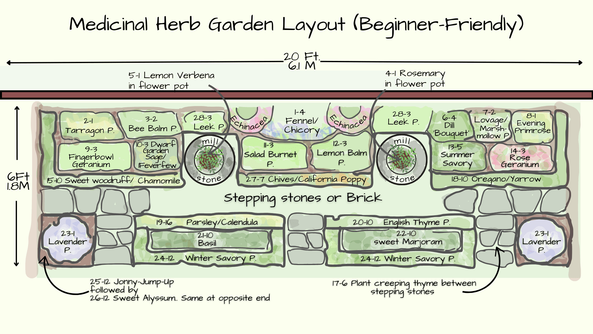 medicinal herb garden layout floor plan