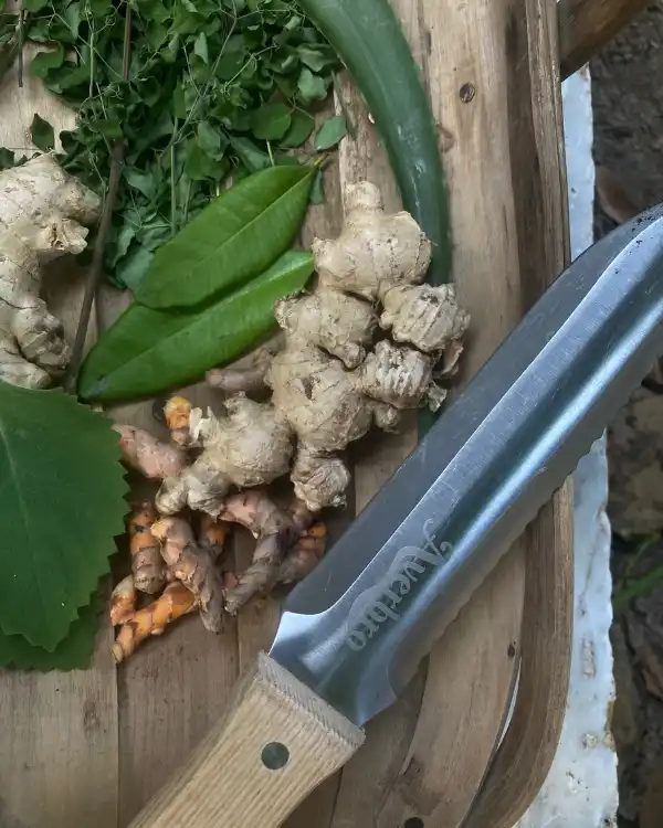 hori hori garden knife hori hori garden knife 1