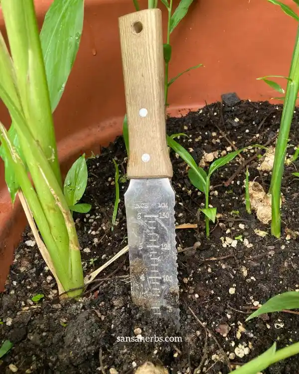 hori-hori-utility-garden-knife hori hori garden knife in soil