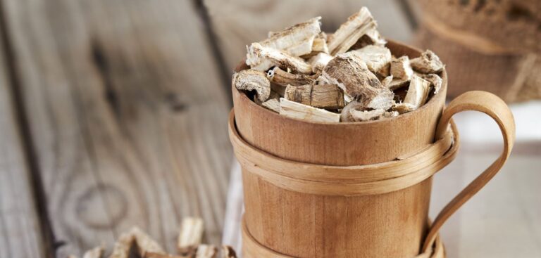 marshmallow root benefits dried marshmallow root in a cup