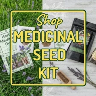 Medicinal Garden Kit