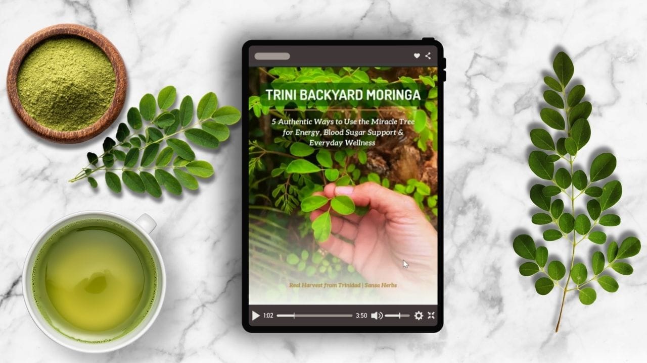 preview of the trini backyard moringa guide 