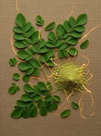 moringa-magic-powder moringa leaves and powder, benefits of moringa powder