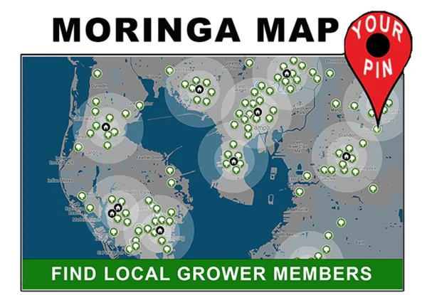 moringa-map-graphic_copy moringa map