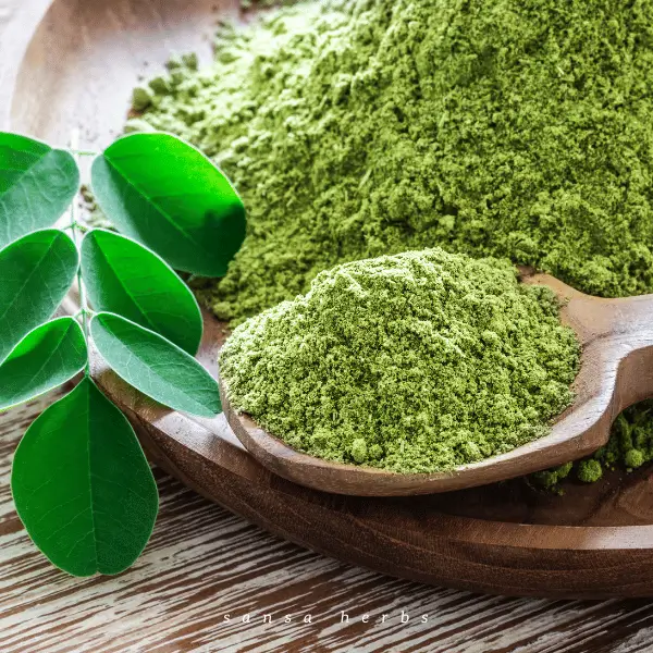 moringa-powder-600 moringa powder