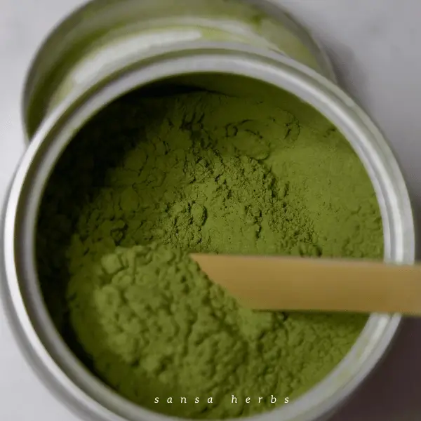 moringa-powder-stored moringa powder in a container