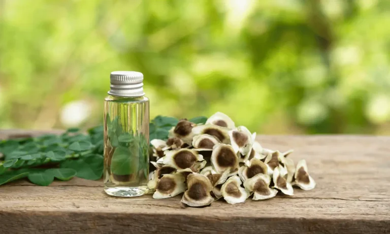 bottle of cold pressed moringa oil with seeds and leaves