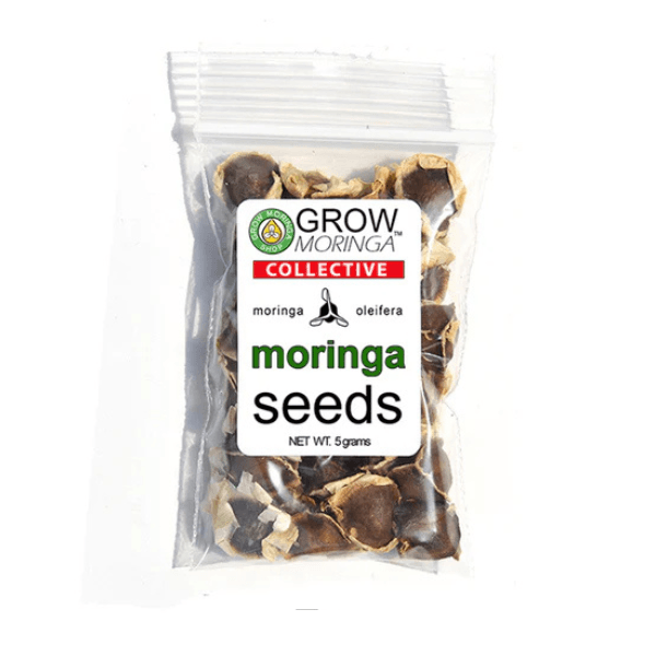 Moringa Seeds from Grow Moringa