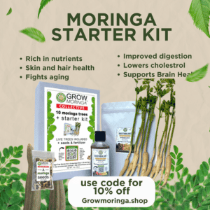 10 Moringa Trees Starter Kit
