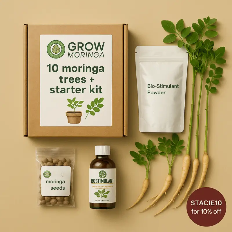 moringa tree kit