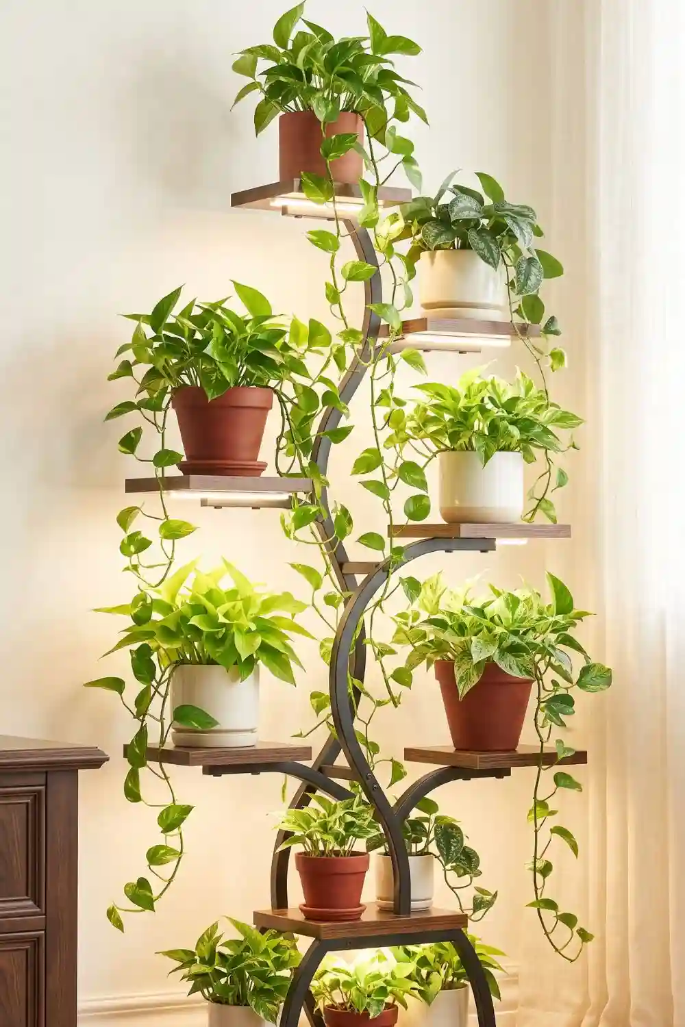 plant stand grow light