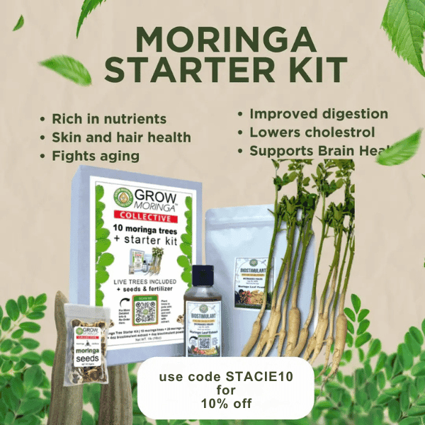 use code STACIE10 for 10% off Growmoringa.shop moringa trees starter kit
